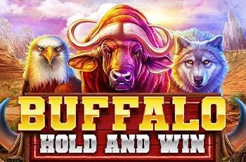 Buffalo Hold and Win